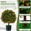 2-Pack Artificial Boxwood Topiary Ball Tree with Orange Fruit