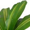 Artificial Dracaena Plant with Pot 35.4" Green