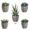 5Pcs Artificial Succulent Cactus Plants; Faux Succulent Cactus Plants with Gray Pots for Home Decor